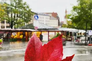 Herbst München