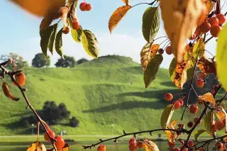 Olympiapark im Herbst. Olympiapark im Herbst.